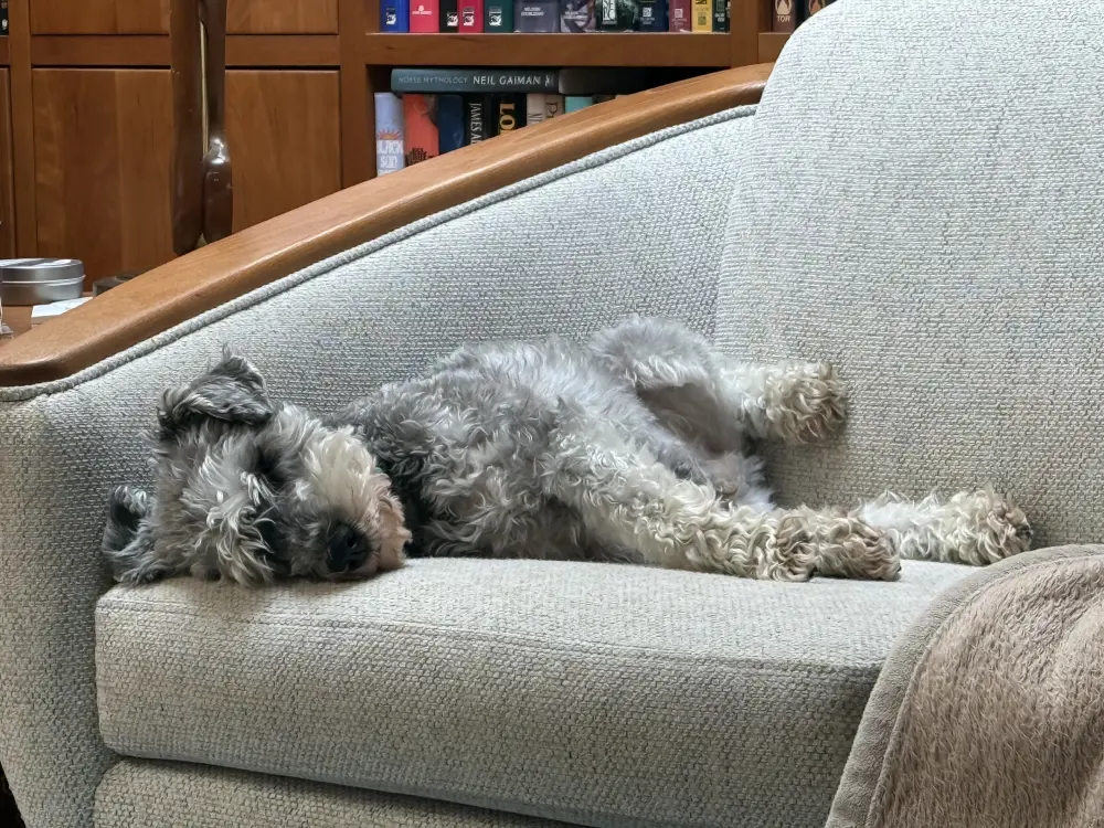 scuttlebutt's banner