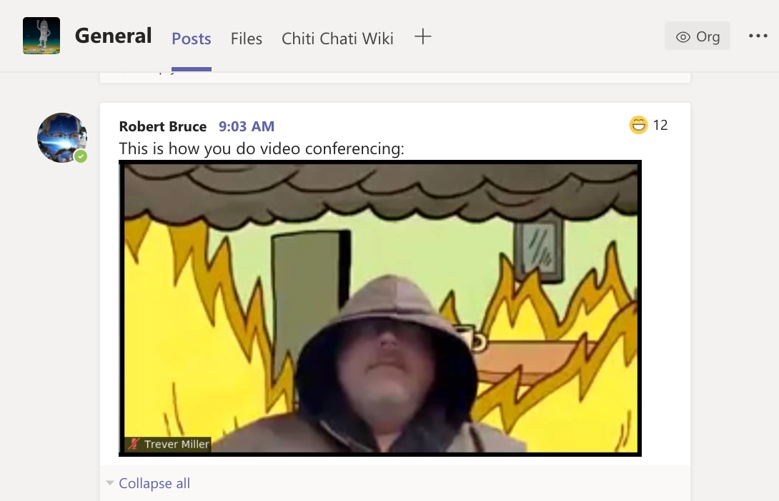 Screen shot of me video conferencing with my face largely obscured by the hood of my bath robe, and the background from 'this is fine' comic with the house on fire etc.

This screen shot was shared in company chat with others that hadn't been in that meeting, with the person sharing saying "This is how you do video conferencing."  (12 ha ha reactions)